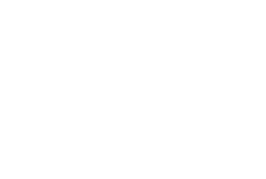 Bocky's logo in grey with no background